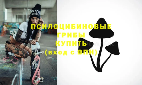 спиды Бородино
