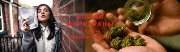 спиды Бородино