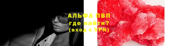 спиды Бородино