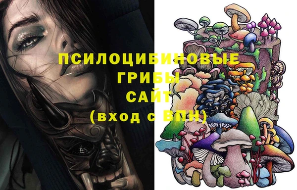 ГАЛЛЮЦИНОГЕННЫЕ ГРИБЫ Бугульма