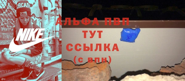 спиды Бородино