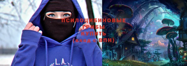 спиды Бородино