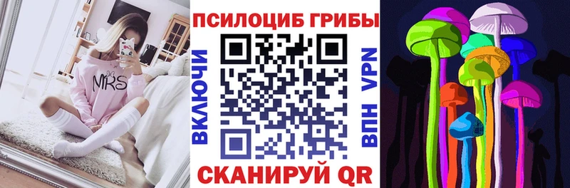 Псилоцибиновые грибы Psilocybe  Осташков 